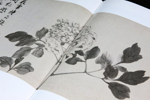 《明畫全集》第九卷  陳道復