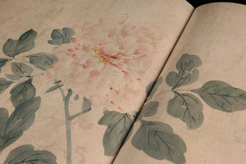 《明畫全集》第九卷  陳道復