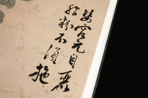 《明畫全集》第九卷  陳道復