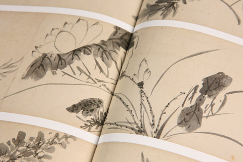 《明畫全集》第九卷  陳道復